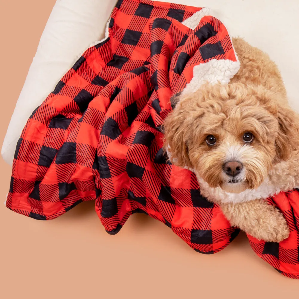 Big & Little Dogs Plaid To The Bone Plush Pet Blanket