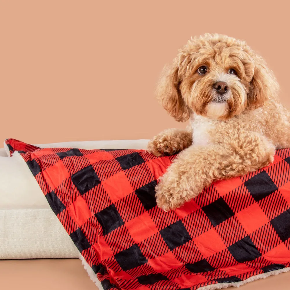 Big & Little Dogs Plaid To The Bone Plush Pet Blanket