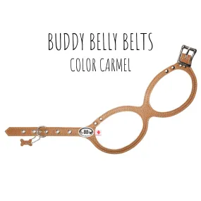 Buddy Belt Dog Leather "Premium" Harness in Color Caramel