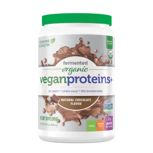 fermented organic vegan protein | chocolate