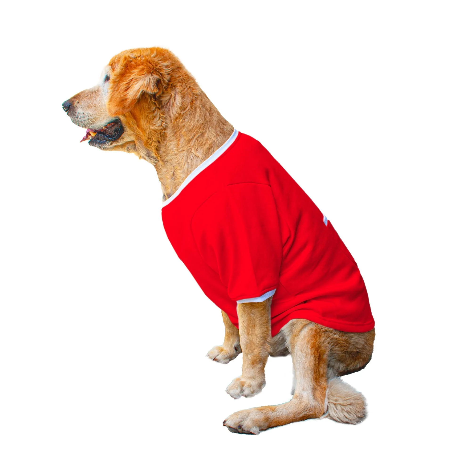 Ruse 'Basics' "Too Sassy For You" Printed Crew Neck Full Sleeve Expedition Sweatshirt For Dogs