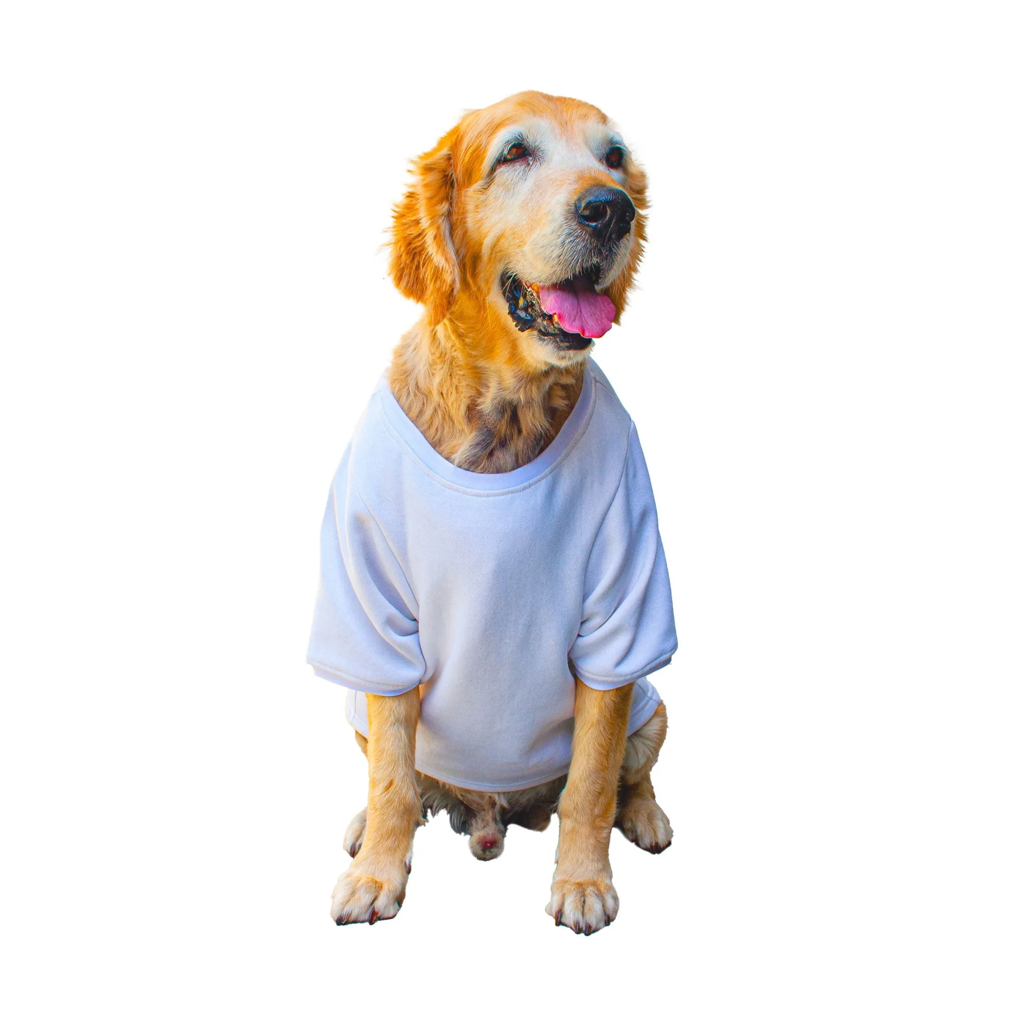 Ruse 'Basics' "Too Sassy For You" Printed Crew Neck Full Sleeve Expedition Sweatshirt For Dogs