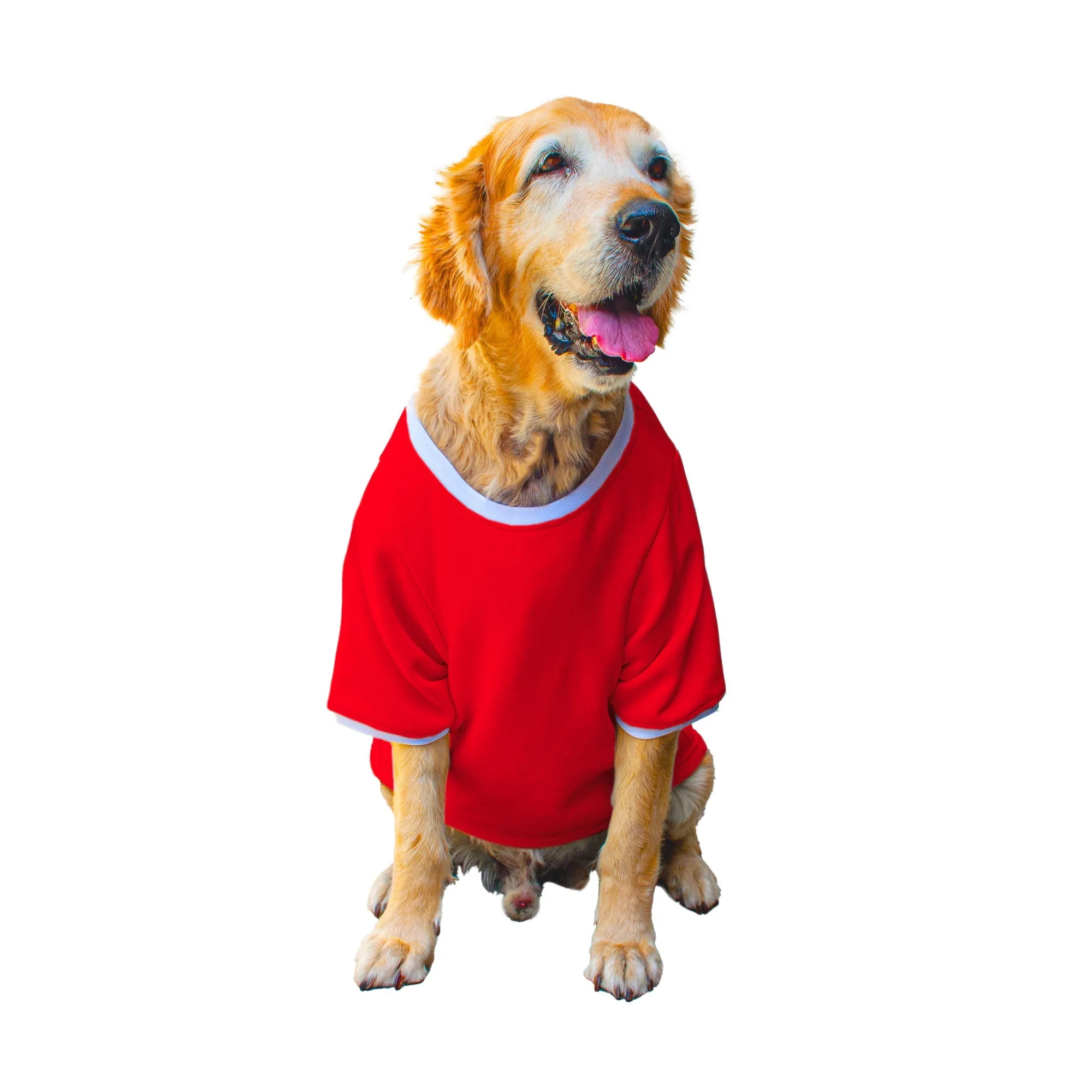 Ruse 'Basics' "Too Sassy For You" Printed Crew Neck Full Sleeve Expedition Sweatshirt For Dogs